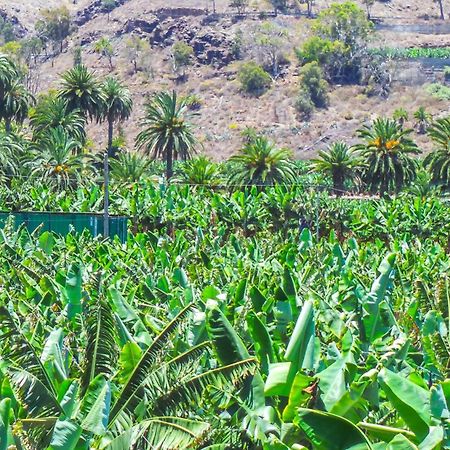 El Refugio Los Portales Арукас Екстер'єр фото